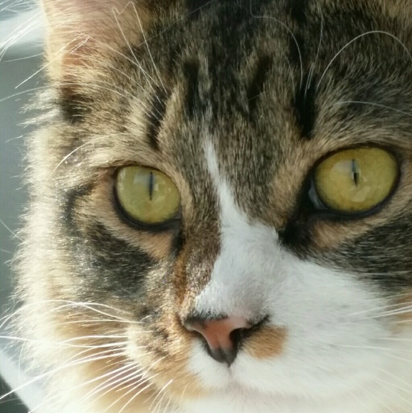 Meet your Posher, Angela - Picture 1 of 1